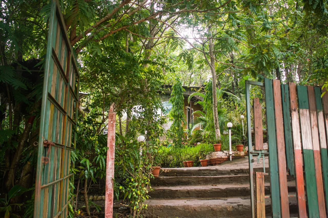 Sterling Nature Trails Dabhosa , Jawahar Birjpara Exterior photo
